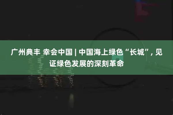 广州典丰 幸会中国 | 中国海上绿色“长城”, 见证绿色发展的深刻革命