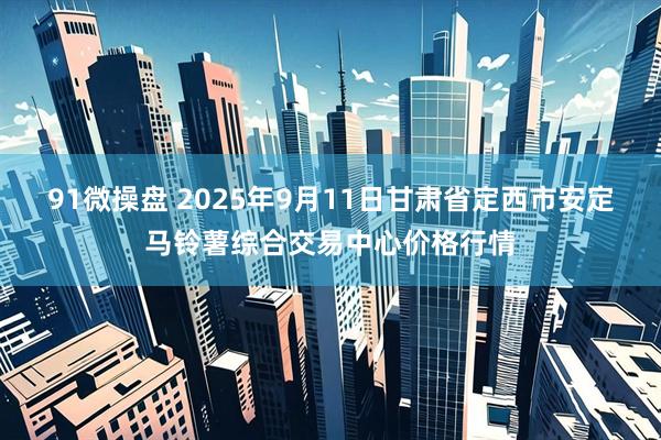 91微操盘 2025年9月11日甘肃省定西市安定马铃薯综合交易中心价格行情