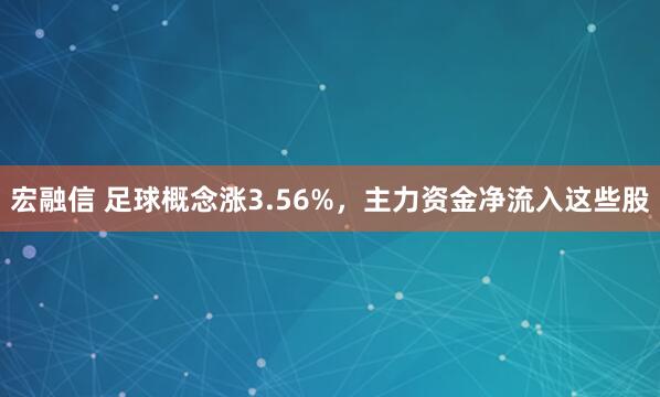 宏融信 足球概念涨3.56%，主力资金净流入这些股