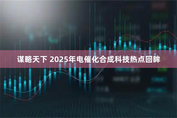 谋略天下 2025年电催化合成科技热点回眸