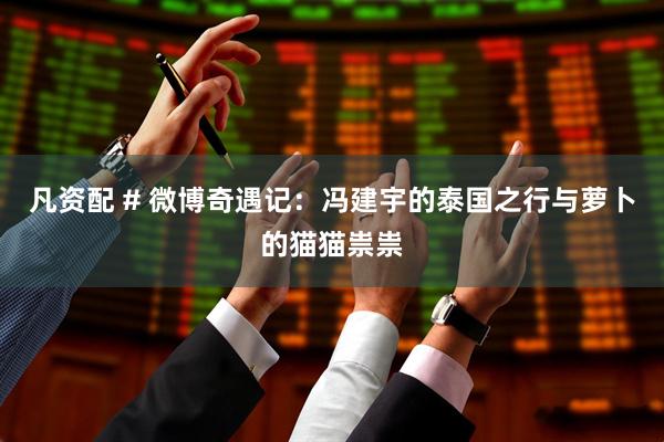 凡资配 # 微博奇遇记：冯建宇的泰国之行与萝卜的猫猫祟祟